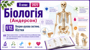 Опорно-рухова система. Кістки. Презентація, інфографіка, робочий аркуш