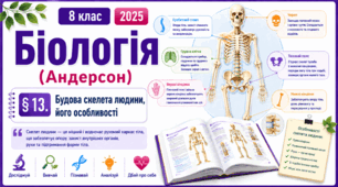 Будова скелета людини, його особливості. Презентація, інфографіка, робочий аркуш