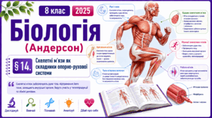 Скелетні м’язи як складники опорно-рухової системи. Презентація, інфографіка, робочий аркуш