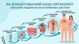 Організм людини та тварин як багаторівнева біологічна система. Клітини і тканини.