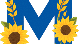 Розтяжка «Мова гідності»