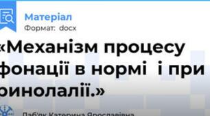 «Механізм процесу фонації в нормі  і при ринолалії.»
