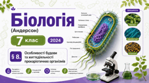 Особливості будови та життєдіяльності прокаріотичних організмів. Презентація, інфографіка, робочий аркуш