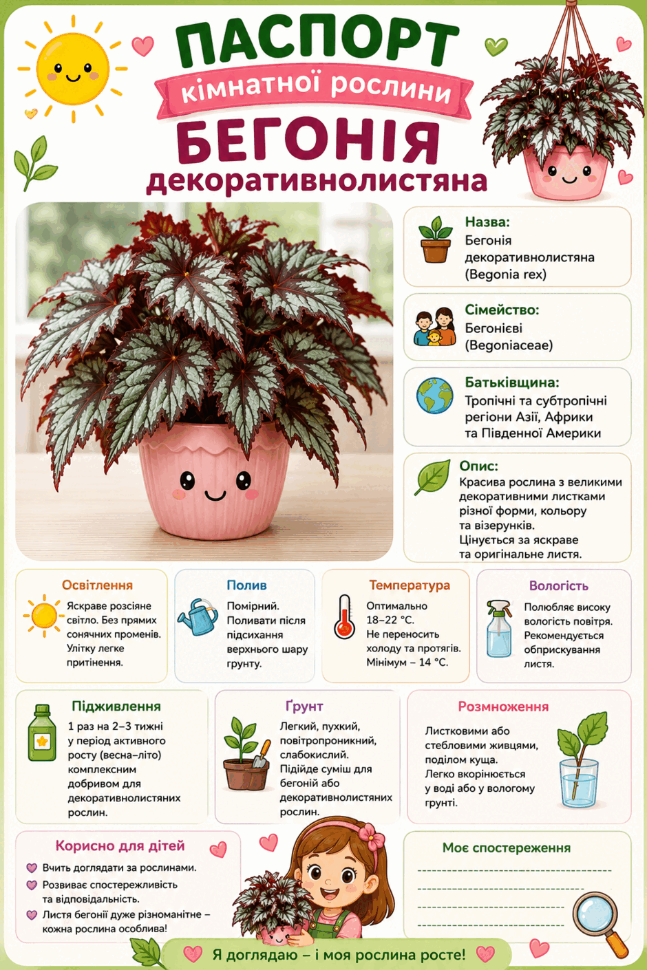 110016zp-eeb1-940x1410.png