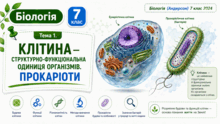 Тема 1. Клітина — структурно-функціональна одиниця організмів. Прокаріоти