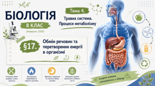 Обмін речовин та перетворення енергії в організмі. Презентація, інфографіка, робочий аркуш