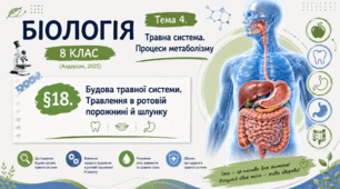 Будова травної системи. Травлення в ротовій порожнині й шлунку. Презентація, інфографіка, робочий аркуш