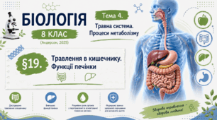 Травлення в кишечнику. Функції печінки. Презентація, інфографіка, робочий аркуш