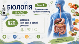 Вітаміни, їхня роль в обміні речовин. Презентація, інфографіка, робочий аркуш