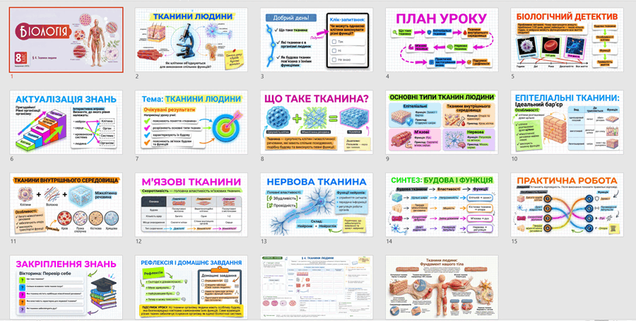 11001a9w-9e6d-900x454.png