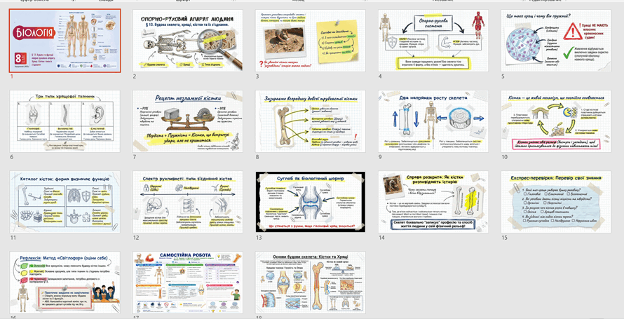 11001acd-1378-890x455.png