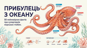 Дивовижний світ восьминогів: інтелект, анатомія та факти.