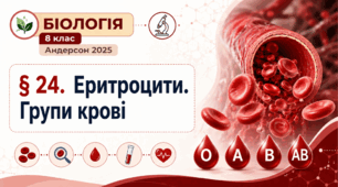 Еритроцити. Групи крові. Презентація, інфографіка, робочий аркуш