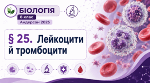 Лейкоцити й тромбоцити. Презентація, інфографіка, робочий аркуш