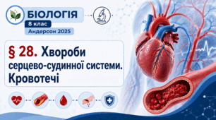 Хвороби серцево-судинної системи. Кровотечі. Презентація, інфографіка, робочий аркуш