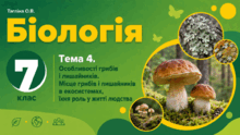 Тема 4. Особливості грибів і лишайників. Місце грибів і лишайників в екосистемах, їхня роль у житті людства