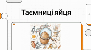 Дивовижне яйце: світові традиції та захопливі факти.
