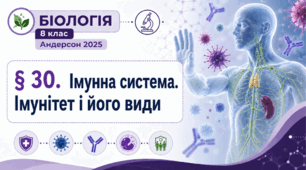 Імунна система. Імунітет і його види. Презентація, інфографіка, робочий аркуш