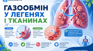 Газообмін у легенях і тканинах