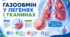 Газообмін у легенях і тканинах