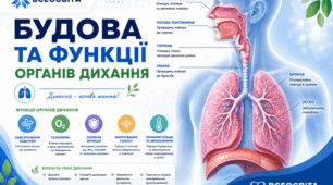 Будова та функції органів дихання.