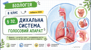 Дихальна система. Голосовий апарат. Презентація, інфографіка, робочий аркуш
