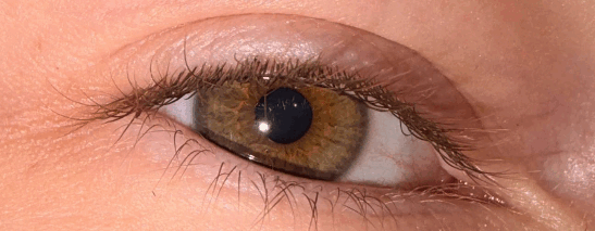 11001f05-ab0d-547x213.png