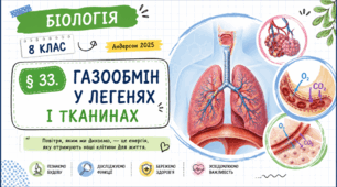 Газообмін у легенях і тканинах. Презентація, інфографіка, робочий аркуш