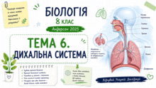 Тема 6. Дихальна система