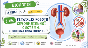 Регуляція роботи сечовидільної системи. Профілактика хвороб. Презентація, інфографіка, робочий аркуш