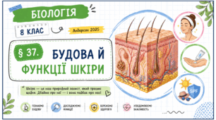 Будова й функції шкіри. Презентація, інфографіка, робочий аркуш