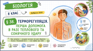 Терморегуляція. Перша допомога в разі теплового та сонячного удару. Презентація, інфографіка, робочий аркуш