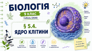 Ядро клітини. Презентація, інфографіка, робочий аркуш
