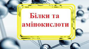 7.Амінокислоти. Білки: рівні їхньої структурної організації (конформації), основні властивості.