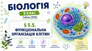 Функціональна організація клітин. Презентація, інфографіка, робочий аркуш
