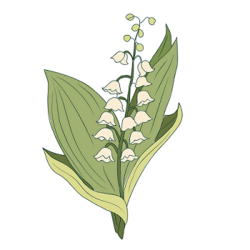 11001m6u-2b15-250x250.png