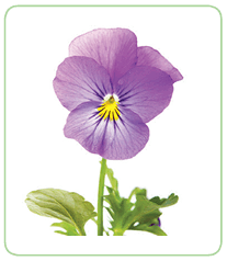 11001m7j-38b7-207x238.png