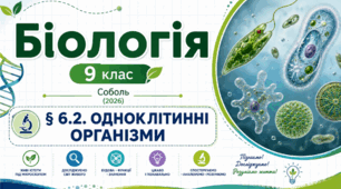 Одноклітинні організми. Презентація, інфографіка, робочий аркуш