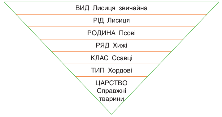 11001mnc-973c-717x379.png