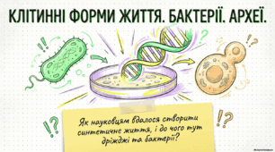 Презентація "Клітинні форми життя. Бактерії. Археї" 9 клас НУШ Соболь В.І.