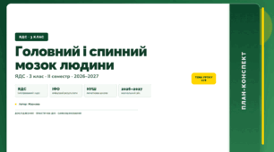 План-конспект уроку «Головний і спинний мозок людини» (3 клас, Я досліджую світ, Жаркова)