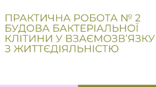 Практична робота : "Будова бактеріальної клітини у взаємозв’язку з життєдіяльністю "