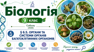 ОРГАНИ. СИСТЕМИ ОРГАНІВ. Презентація, інфографіка, робочий аркуш