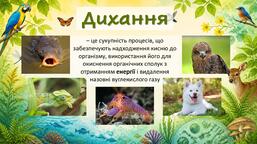 11001pmh-a983-257x144.jpg