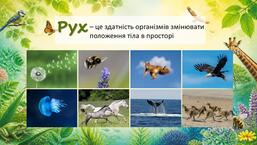 11001pmn-a5c3-257x145.jpg
