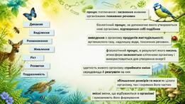 11001pmp-d6c6-261x147.jpg