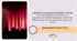 Дійсність та театральне мистецтво. Реалізм як метод відображення дійсності у відповідності з об’єктивною достовірністю. Дійова особа . Зв’язок з певним історичним часом.
