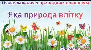 Ознайомлення з природним довкіллям "Яка природа влітку"