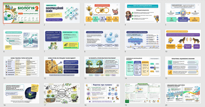 11001x3x-43f6-862x449.png