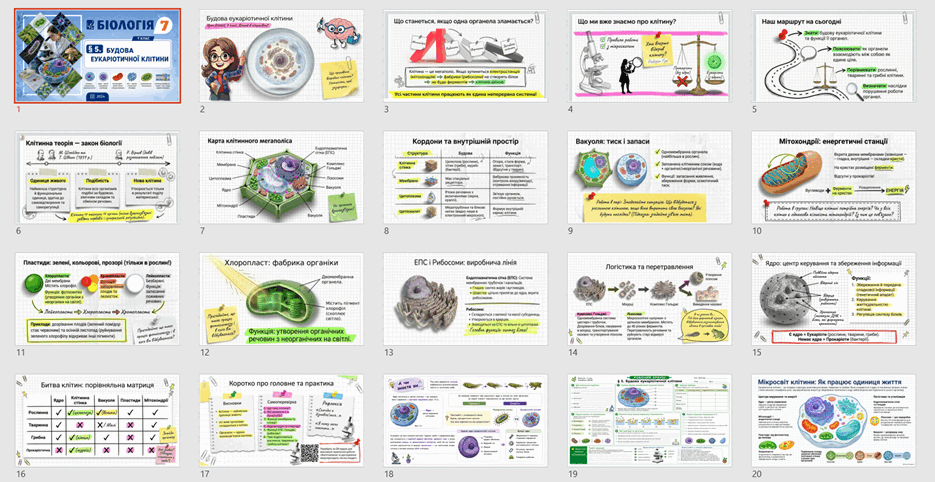 1100239c-0c9f-935x482.png
